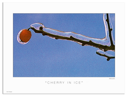 Cherry In Ice Poster | The Nature Series is a collection of photos that allow the art lover to enjoy nature from the artist's unusual perspective.