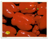 Red Peppers Poster | The Fruits & Vegetables Series is just a colorful collection of honest photos of healthy goodies.