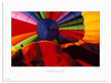 Arthur Poster | The Great Balloon Race Series is a collection of unusual close-up photos. Check out these vibrant works of modern art.