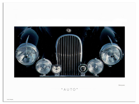 Blue Jag Poster | The Autographics Series is a collection of photos that highlight some of the beautiful and unusual details of vintage cars.