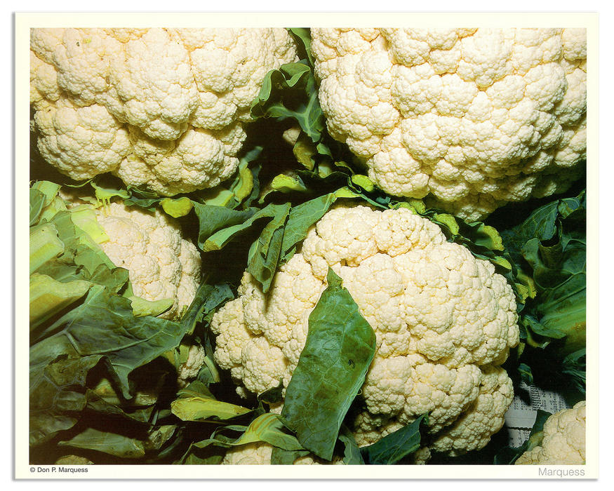 Cauliflower Poster | The Fruits & Vegetables Series is just a colorful collection of honest photos of healthy goodies.