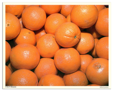 Oranges Poster | The Fruits & Vegetables Series is just a colorful collection of honest photos of healthy goodies.