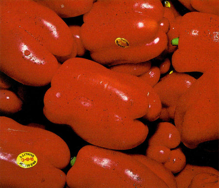 Red Peppers | The Fruits & Vegetables Series is just a colorful collection of honest photos of healthy goodies.