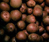 Potatoes | The Fruits & Vegetables Series is just a colorful collection of honest photos of healthy goodies.