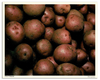 Potatoes Poster | The Fruits & Vegetables Series is just a colorful collection of honest photos of healthy goodies.