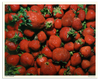 Strawberries Poster | The Fruits & Vegetables Series is just a colorful collection of honest photos of healthy goodies.