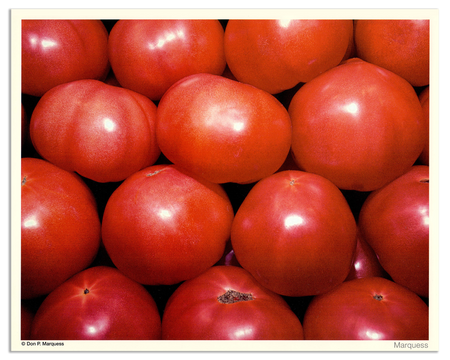 Tomato Poster | The Fruits & Vegetables Series is just a colorful collection of honest photos of healthy goodies.