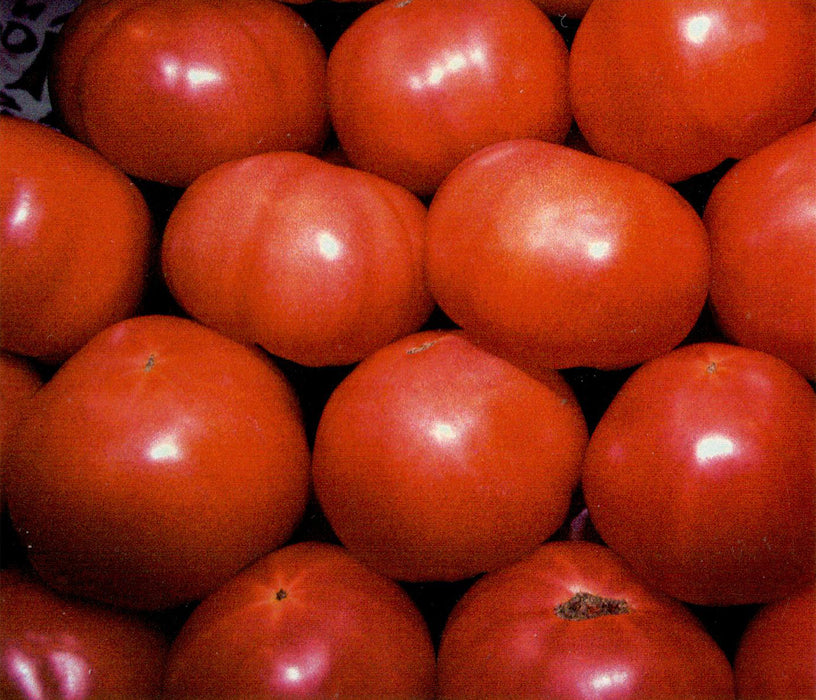 Tomatoes | The Fruits & Vegetables Series is just a colorful collection of honest photos of healthy goodies.